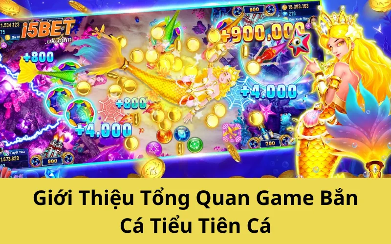 Giới Thiệu Tổng Quan Game Bắn Cá Tiểu Tiên Cá