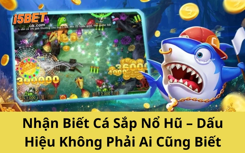 Nhận Biết Cá Sắp Nổ Hũ – Dấu Hiệu Không Phải Ai Cũng Biết