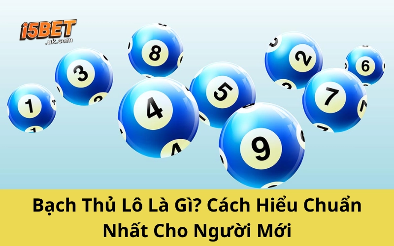 Bạch Thủ Lô Là Gì? Cách Hiểu Chuẩn Nhất Cho Người Mới