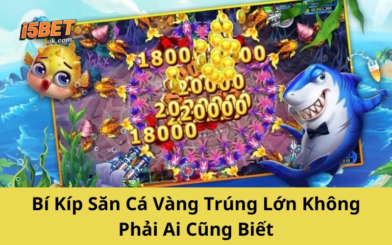 Bí Kíp Săn Cá Vàng Trúng Lớn Không Phải Ai Cũng Biết