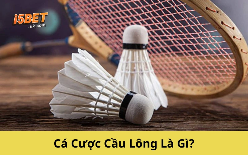 Cá Cược Cầu Lông Là Gì?