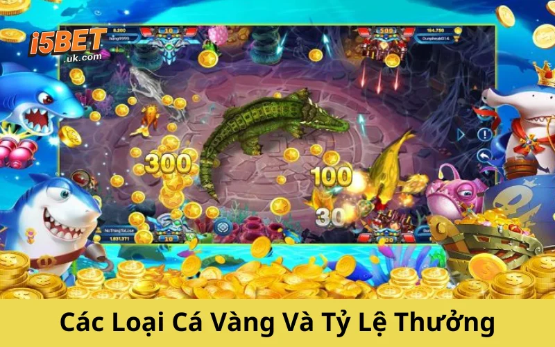 Các Loại Cá Vàng Và Tỷ Lệ Thưởng