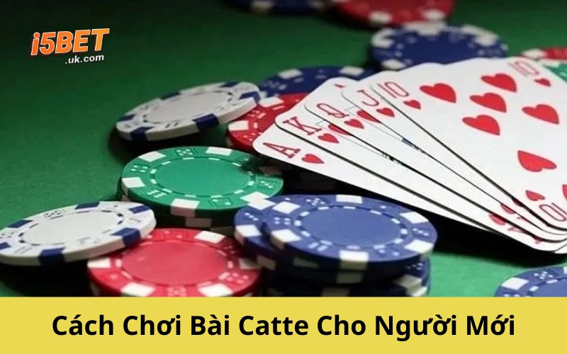 Cách Chơi Bài Catte Cho Người Mới