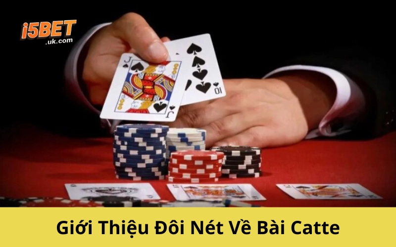 Giới Thiệu Đôi Nét Về Bài Catte