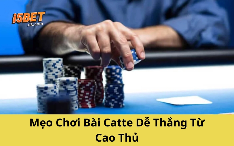 Mẹo Chơi Bài Catte Dễ Thắng Từ Cao Thủ