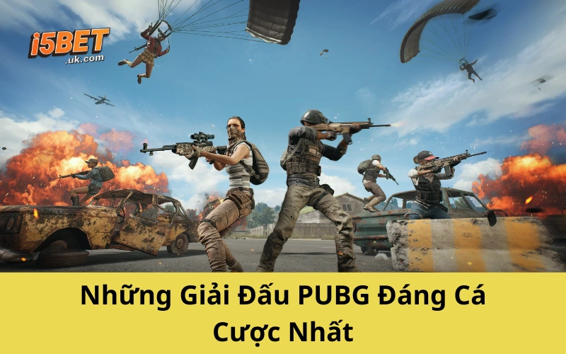 Cá Cược PUBG Là Gì? Hướng Dẫn Chi Tiết Từ Cơ Bản Đến Nâng Cao Những Giải Đấu PUBG Đáng Cá Cược Nhất