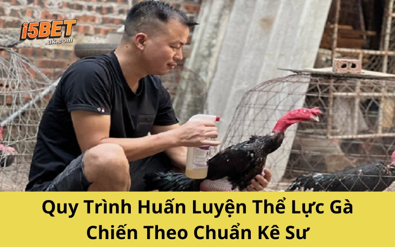 Bí Kíp Huấn Luyện Thần Kê – Gà Chiến Bách Chiến Bách Thắng Quy Trình Huấn Luyện Thể Lực Gà Chiến Theo Chuẩn Kê Sư