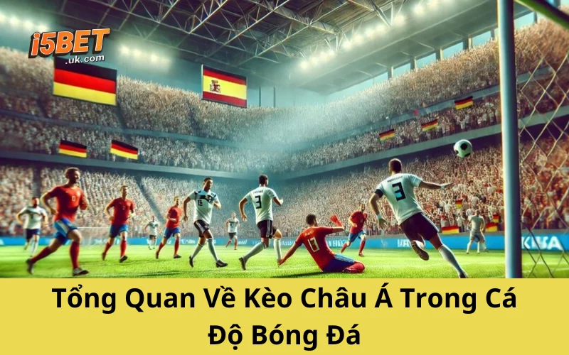 Tổng Quan Về Kèo Châu Á Trong Cá Độ Bóng Đá
