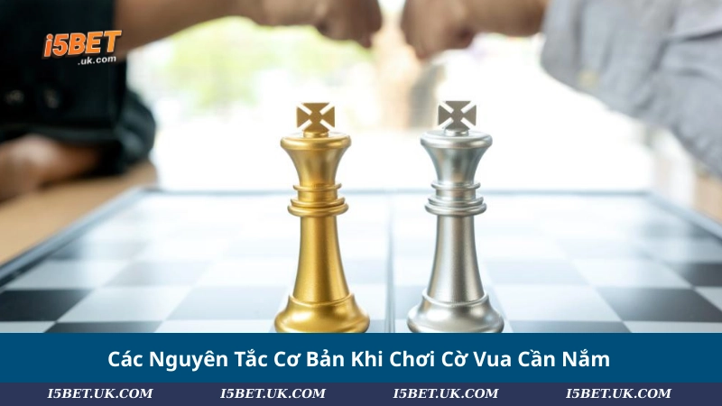 Các Nguyên Tắc Cơ Bản Khi Chơi Cờ Vua Cần Nắm