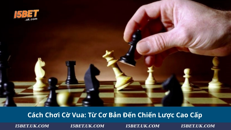 Cách Chơi Cờ Vua: Từ Cơ Bản Đến Chiến Lược Cao Cấp Cách Chơi Cờ Vua: Từ Cơ Bản Đến Chiến Lược Cao Cấp