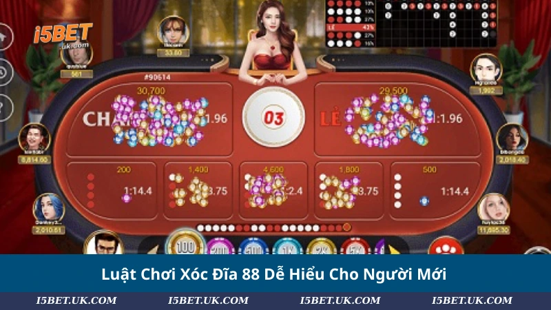 Luật Chơi Xóc Đĩa 88 Dễ Hiểu Cho Người Mới
