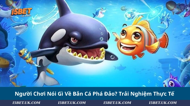 Người Chơi Nói Gì Về Bắn Cá Phá Đảo? Trải Nghiệm Thực Tế