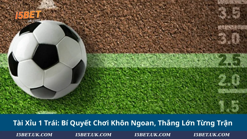 Tài Xỉu 1 Trái: Bí Quyết Chơi Khôn Ngoan, Thắng Lớn Từng Trận