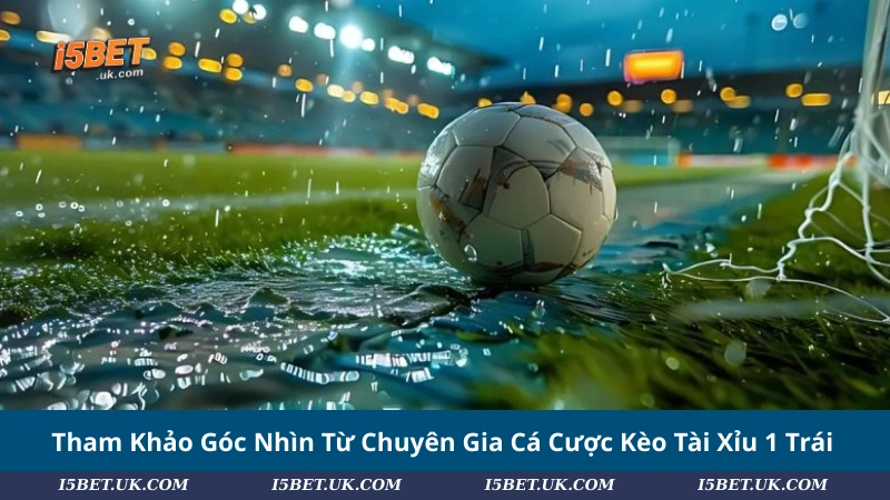 Tham Khảo Góc Nhìn Từ Chuyên Gia Cá Cược